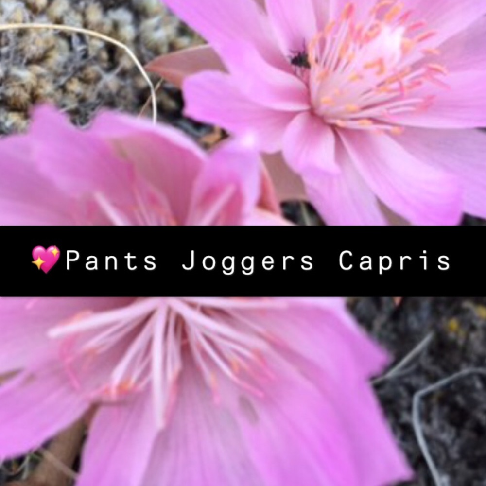 Pants, Joggers, Capris